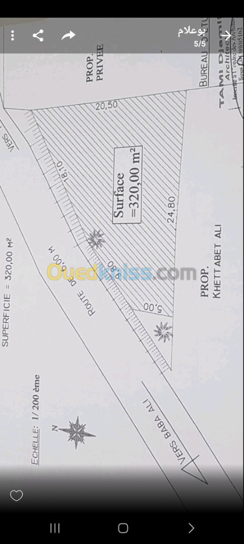 Vente Terrain Alger Saoula