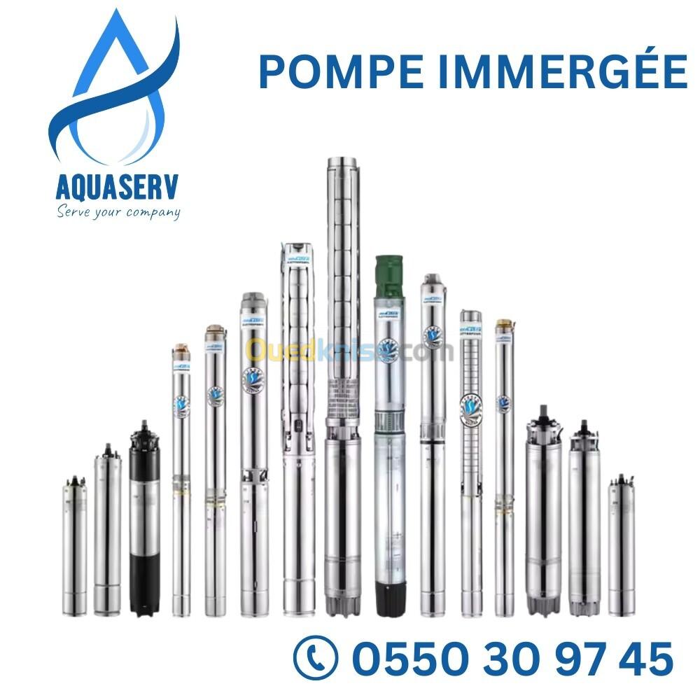 POMPE IMMERGÉE