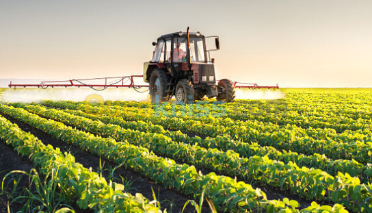 Etudes en investissement, études agricole, conseils en investissement.