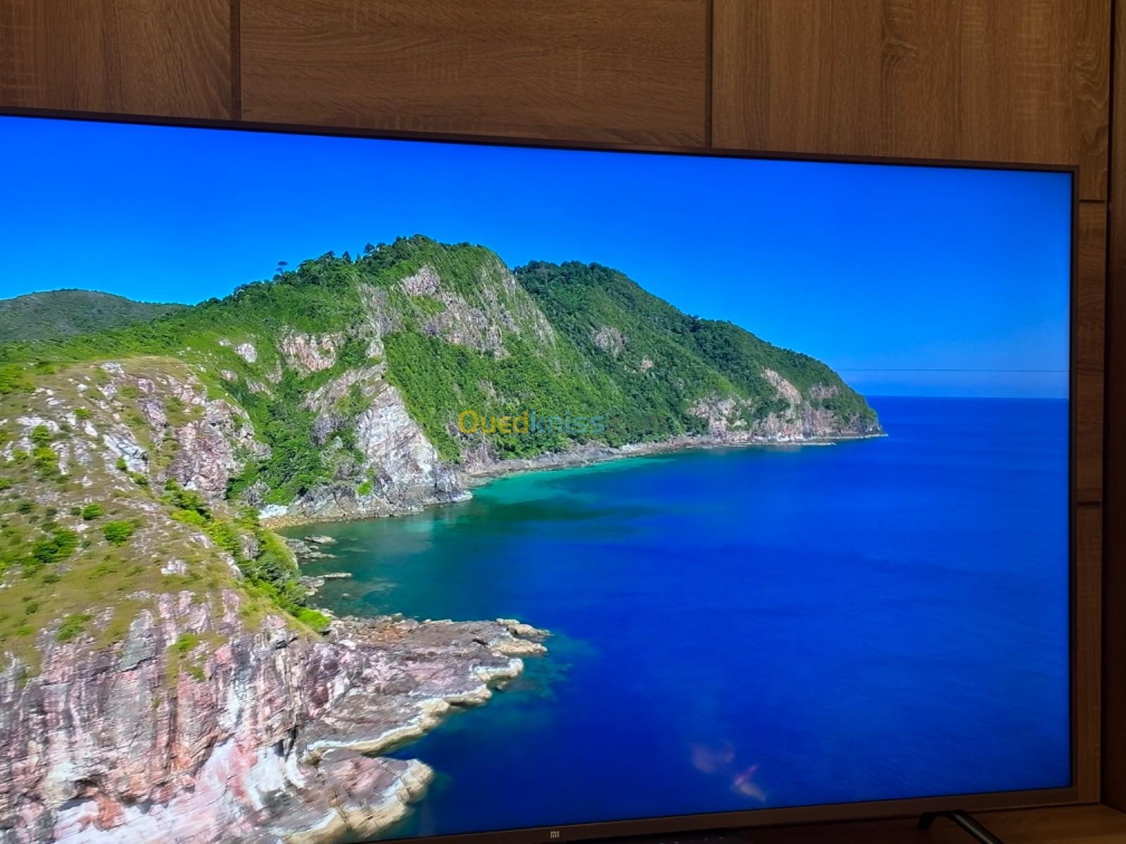 Xiaomi Mi TV 4S 65 DÉFAUT