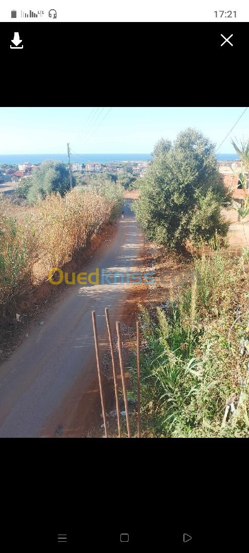 Vente Terrain Boumerdès Zemmouri