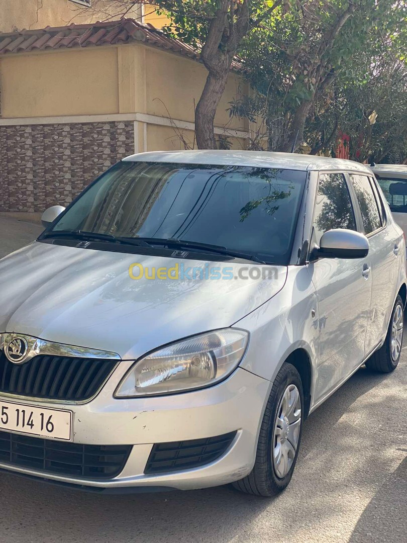 Skoda Fabia 2014 Visage