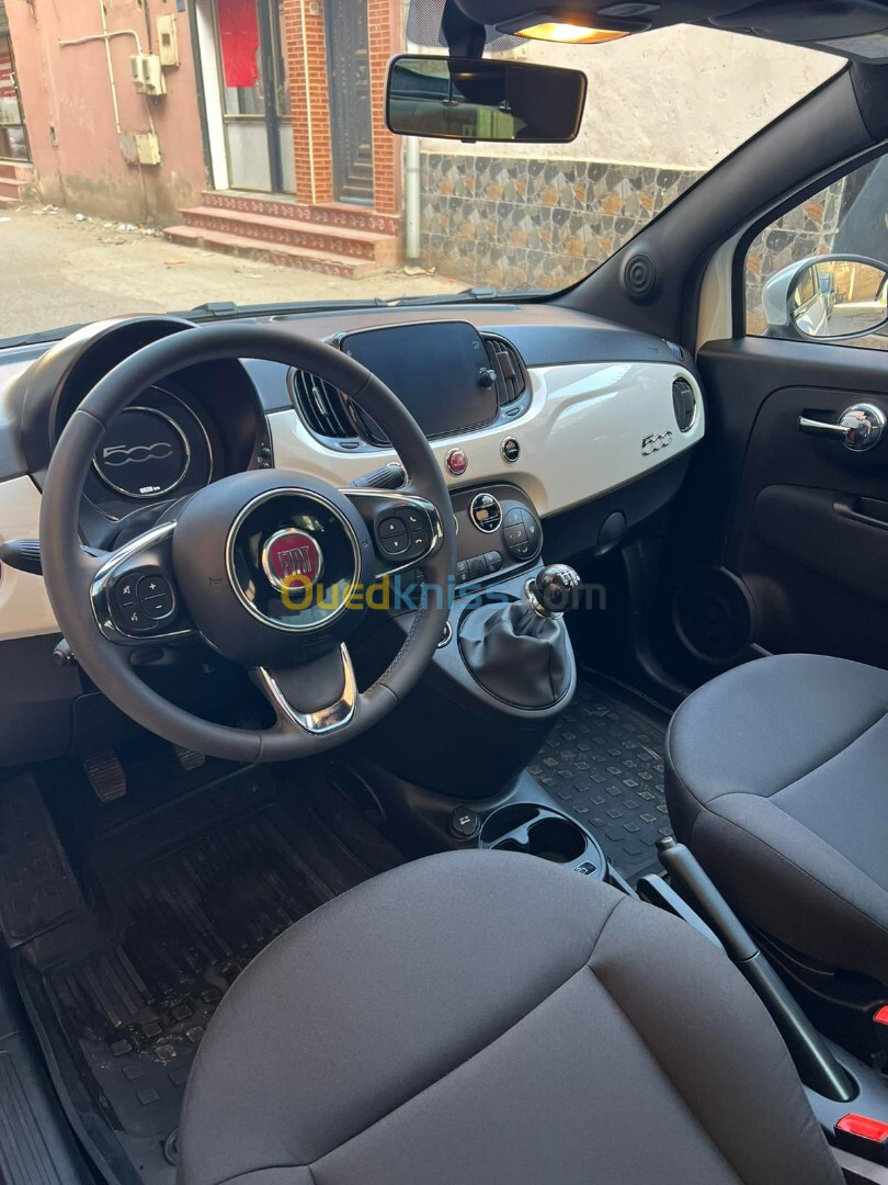 Fiat 500 2024 Dotchivitea