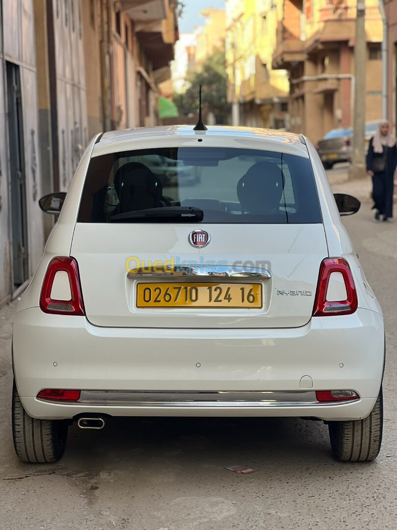 Fiat 500 2024 Dotchivitea