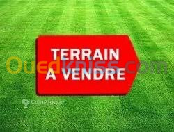 Vente Terrain Alger Cheraga