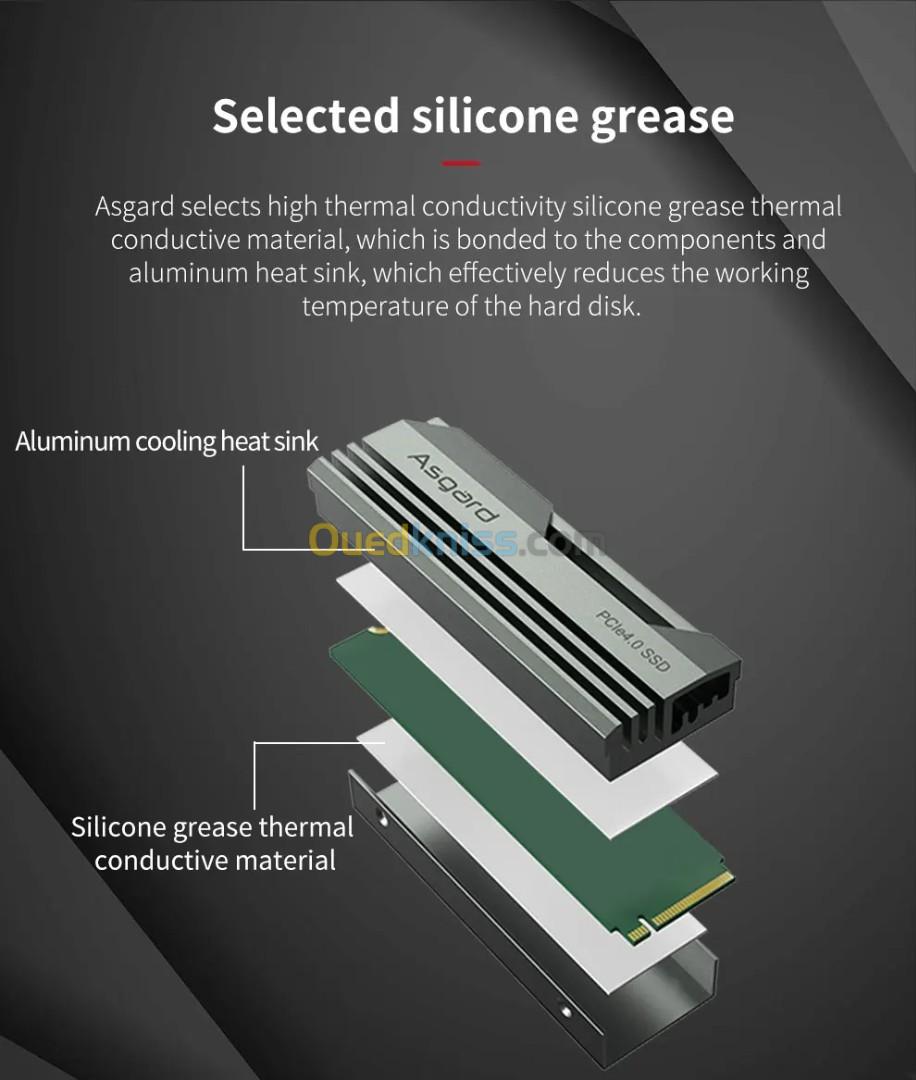 Asgard M.2 Pcle 4.0 NVMe SSD AN4 GEN4X4 M.2 2280  2TB 