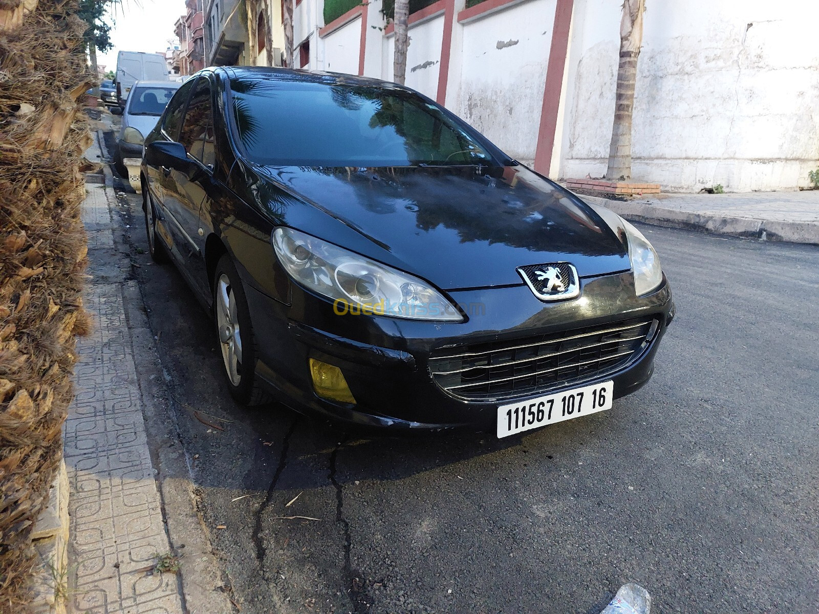 Peugeot 407 2007 407