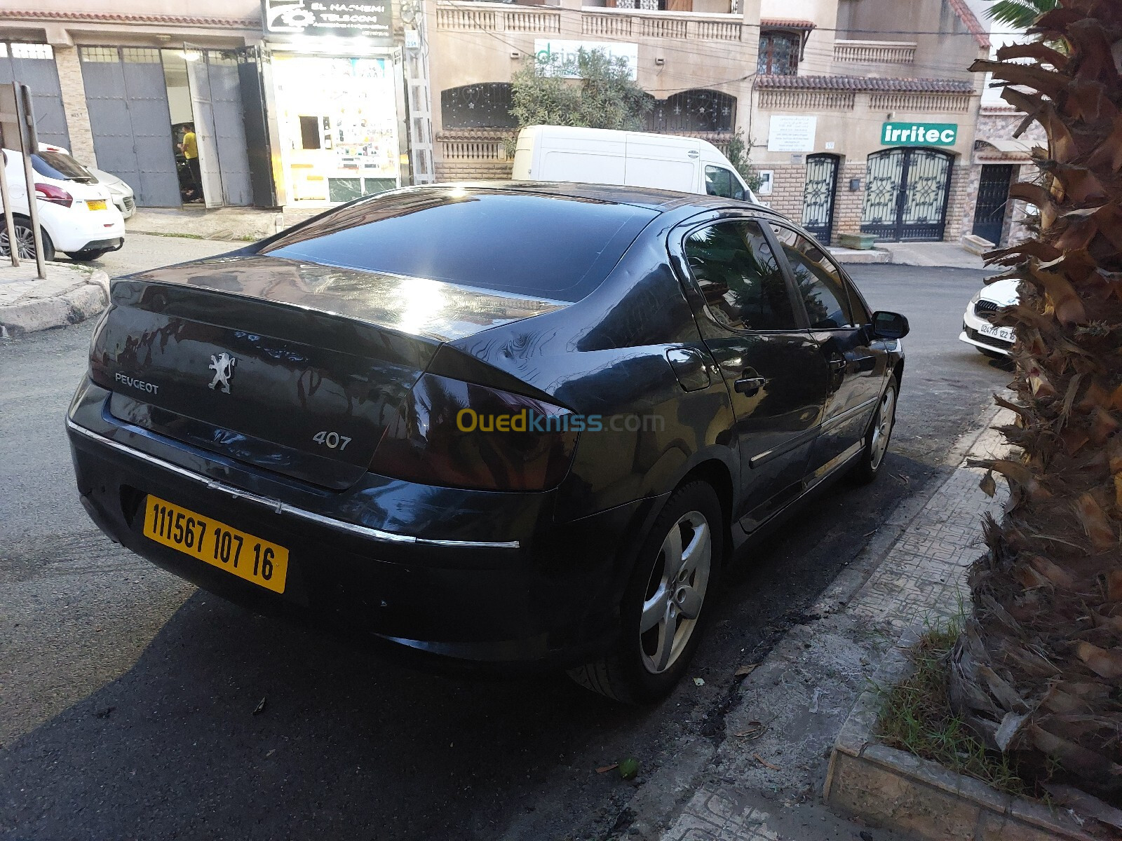 Peugeot 407 2007 407