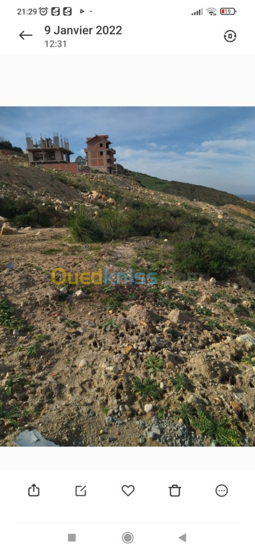 Vente Terrain Boumerdès Zemmouri