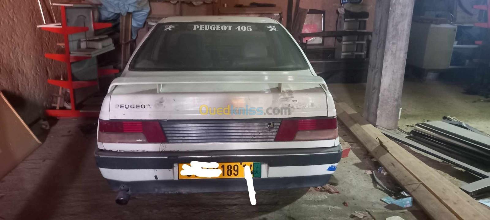 Peugeot 405 1989 405