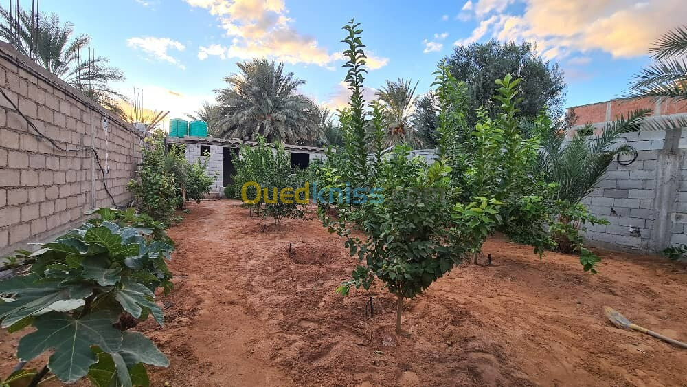 Vente Terrain Ghardaïa Ghardaia