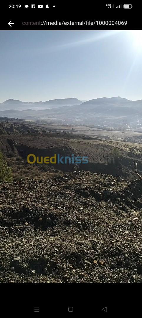 Vente Terrain Sétif Talaifacene