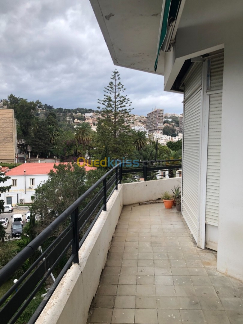 Location Appartement F3 Alger Alger centre