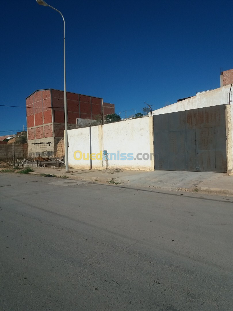 Vente Hangar Mostaganem Mesra