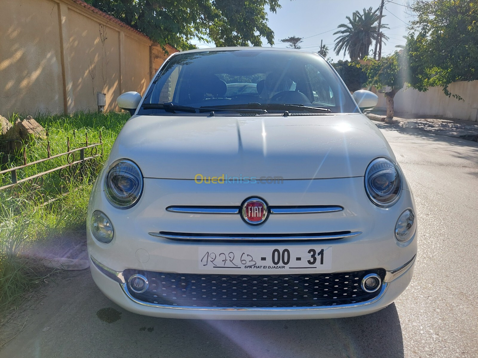 Fiat 500 2024 Dolcevita