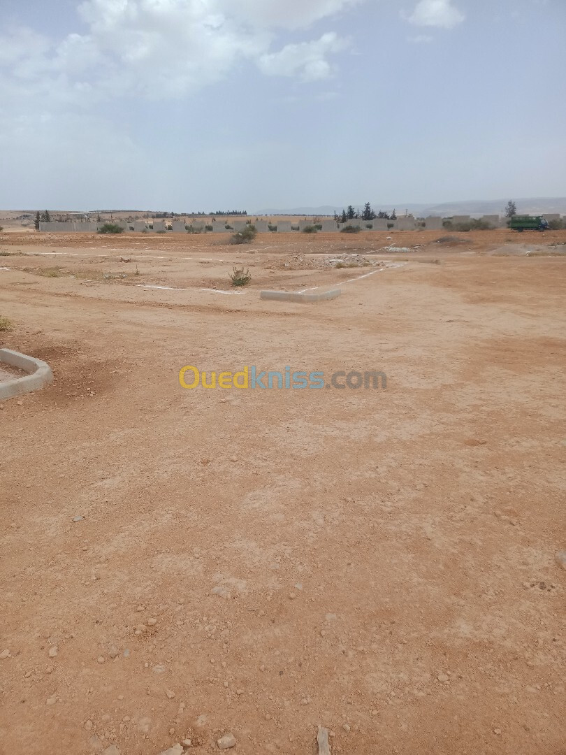 Vente Terrain Tlemcen Zenata