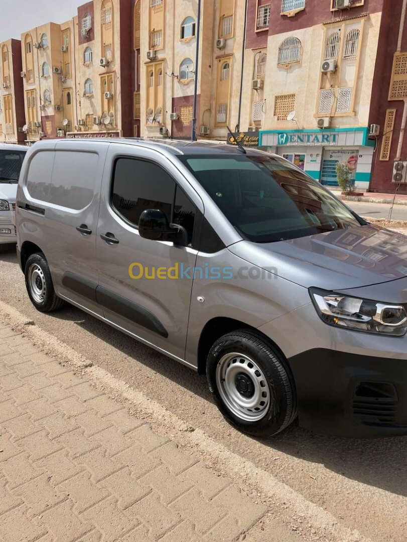 Fiat Doblo 2024 Professional