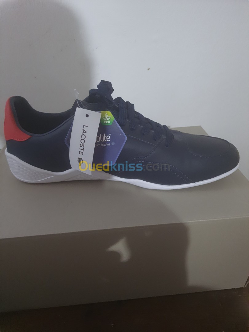 Ouedkniss 2024 basket lacoste