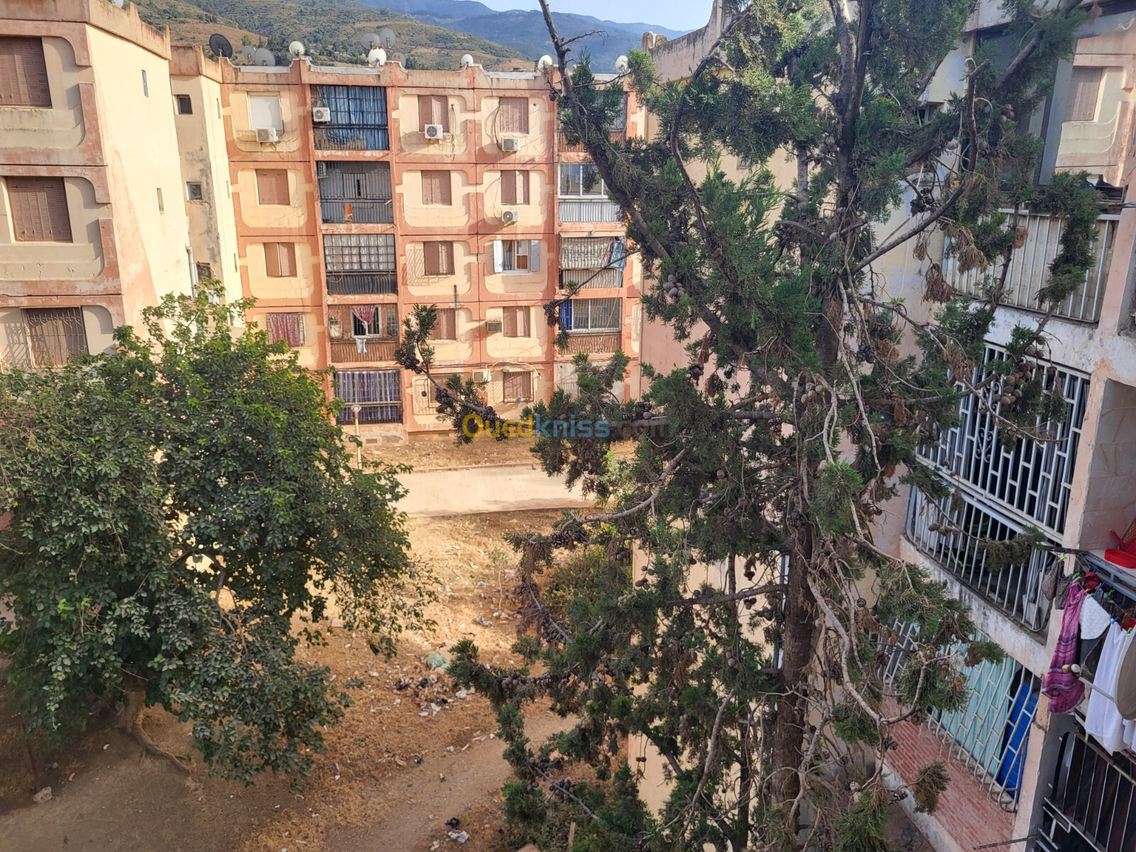 Vente Appartement F3 Blida Ouled yaich