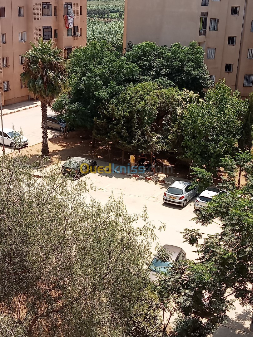 Location vacances Appartement F3 Alger Ain taya