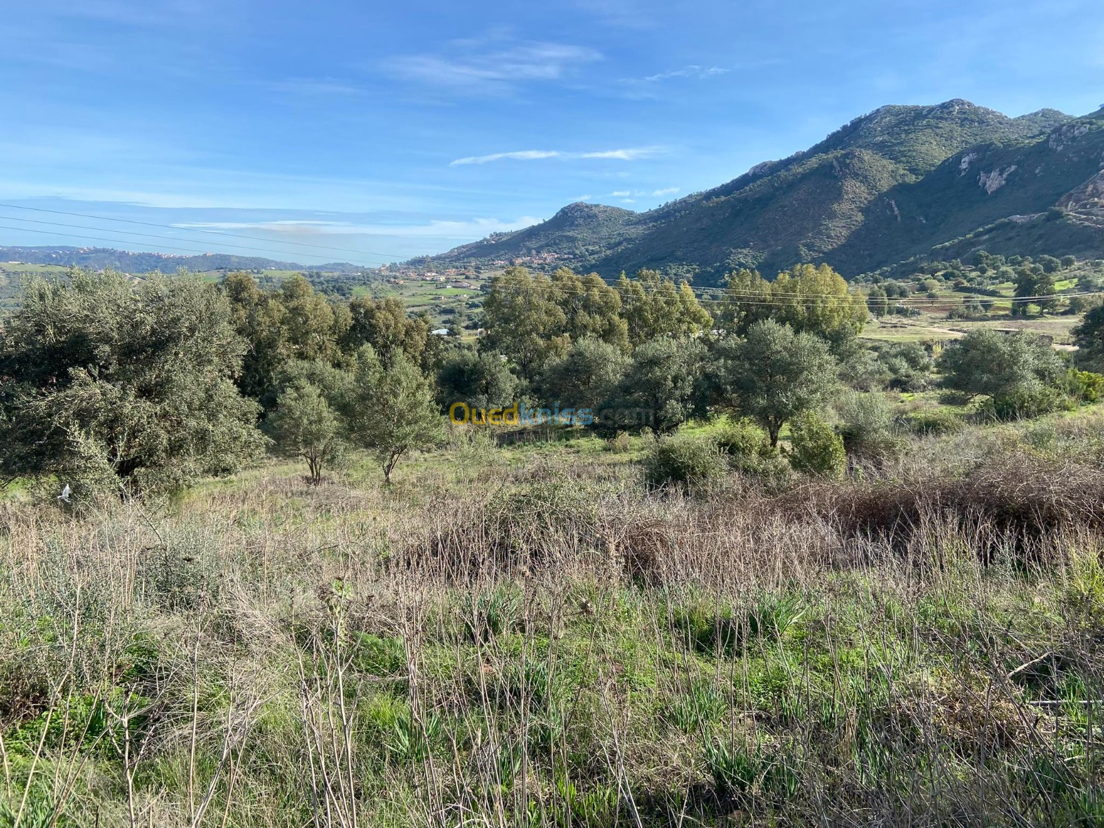 Vente Terrain Boumerdès Bouzegza keddara