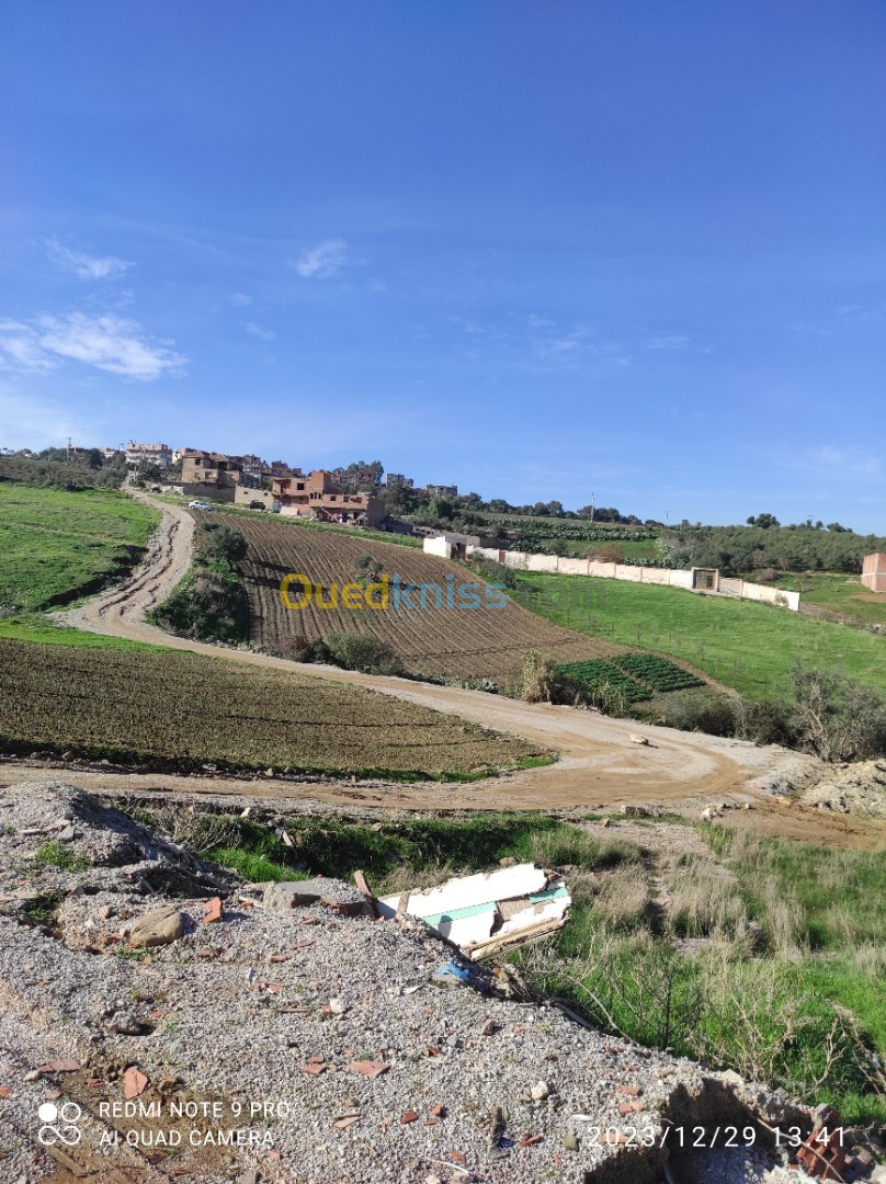 Vente Terrain Boumerdès Larbatache