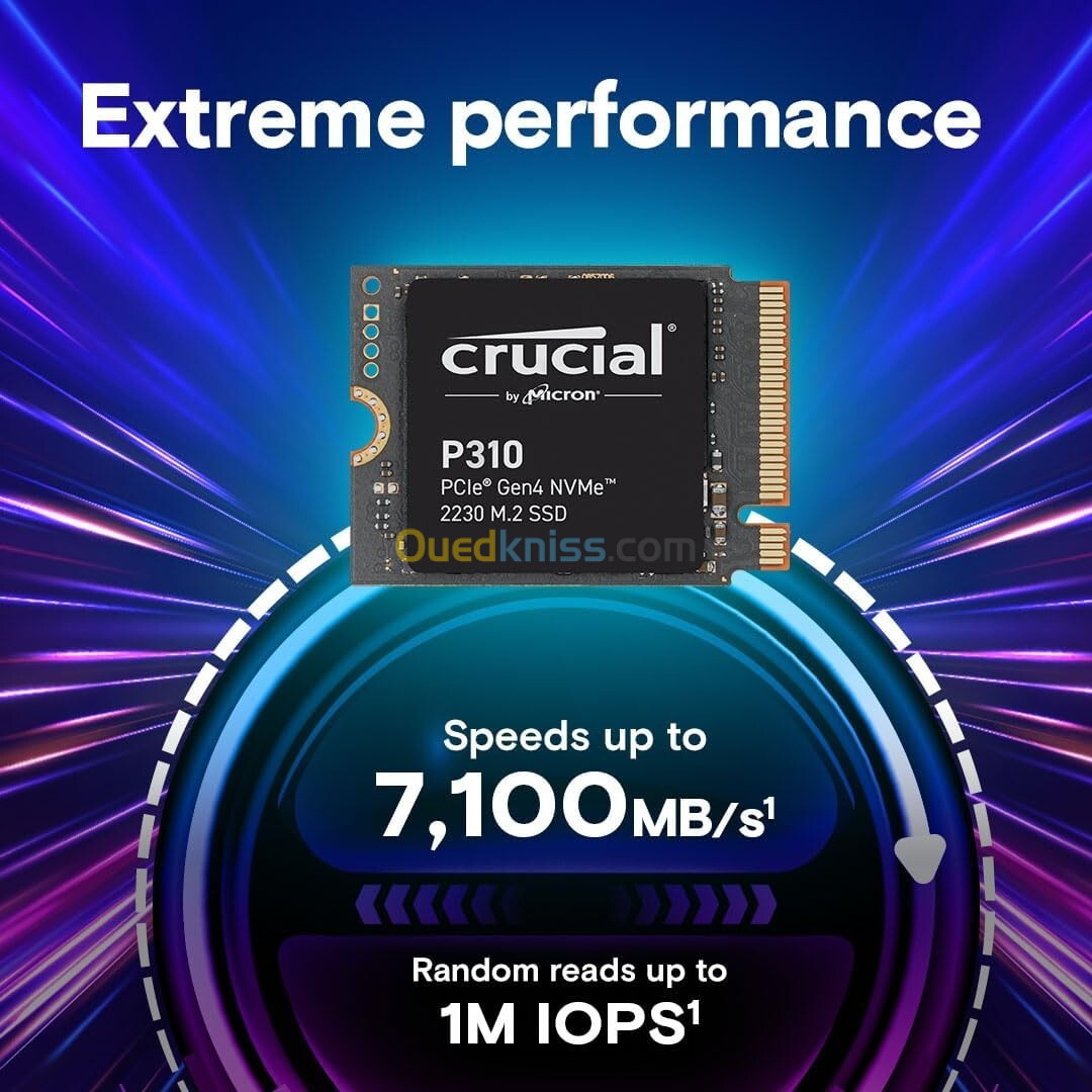 Crucial P310 SSD 1TB PCIe Gen4 NVMe M.2 2230