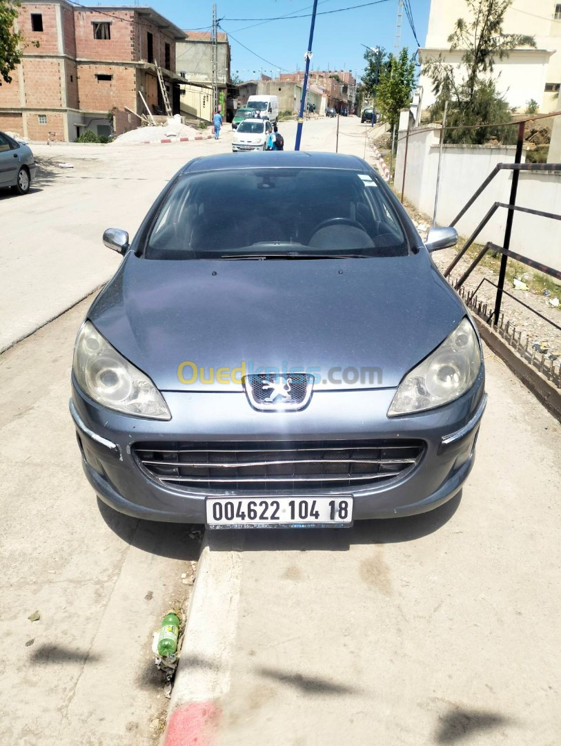 Peugeot 407 2004 407