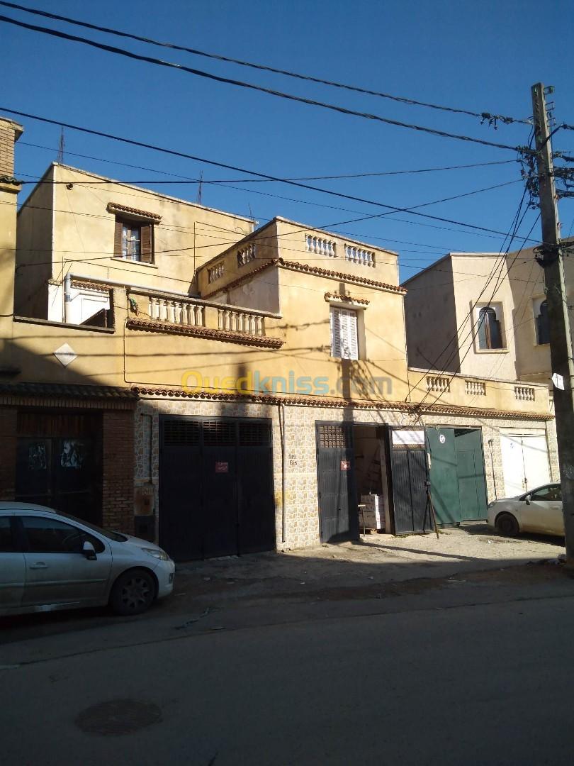 Vente Terrain Alger Saoula