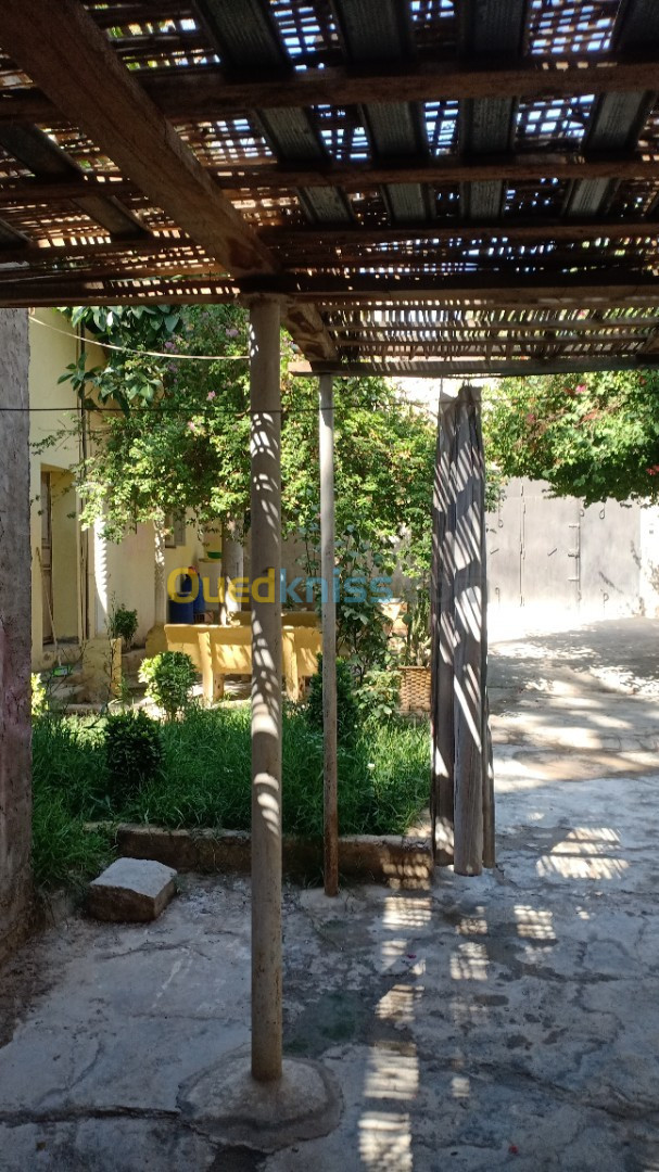 Vente Appartement F10 Biskra Tolga