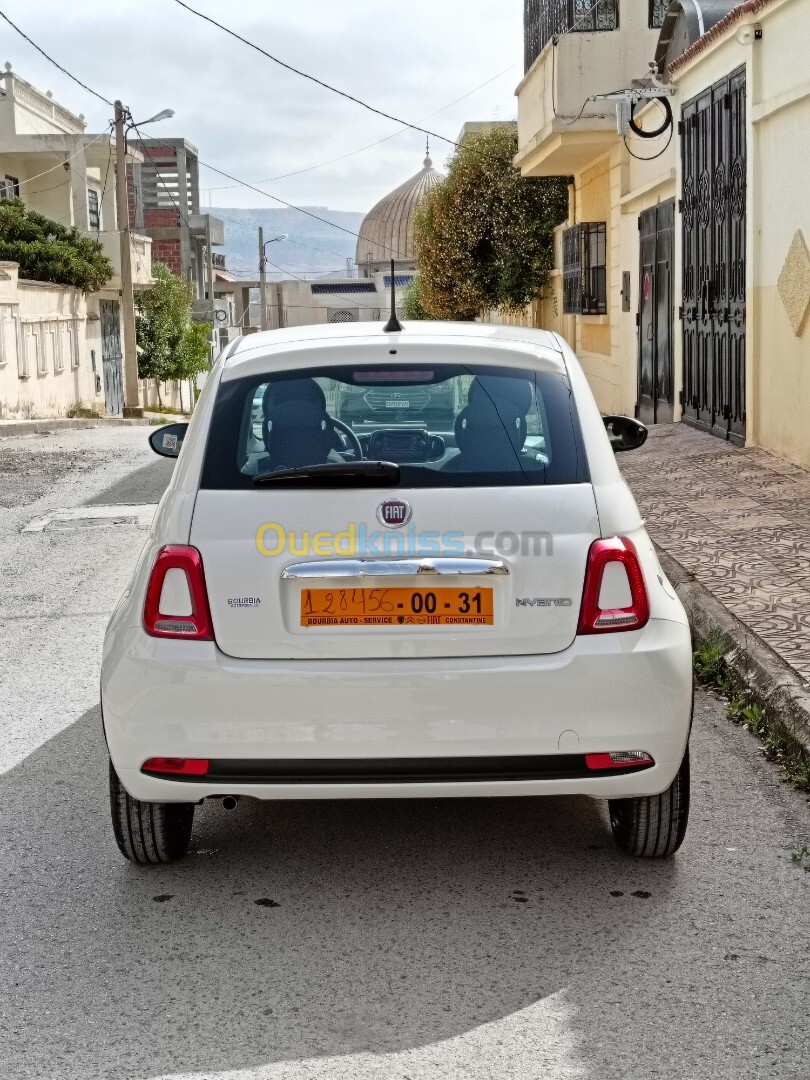 Fiat 500 2024 Cult