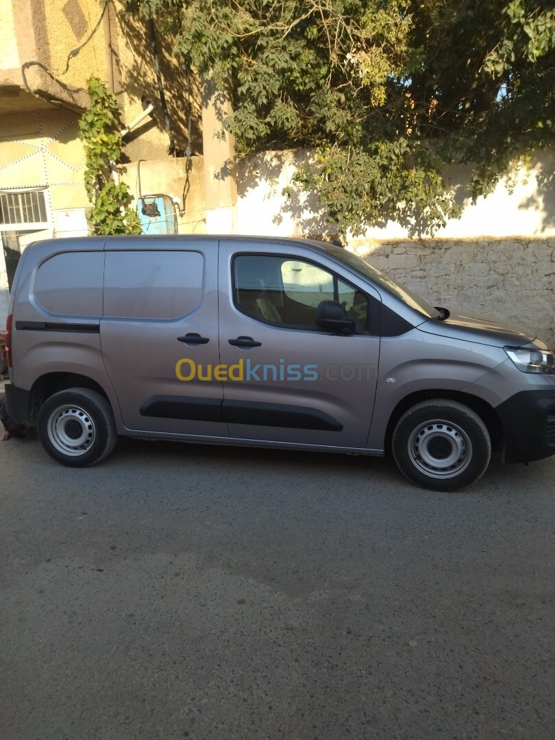 Fiat Doublo 2024 Professionnel