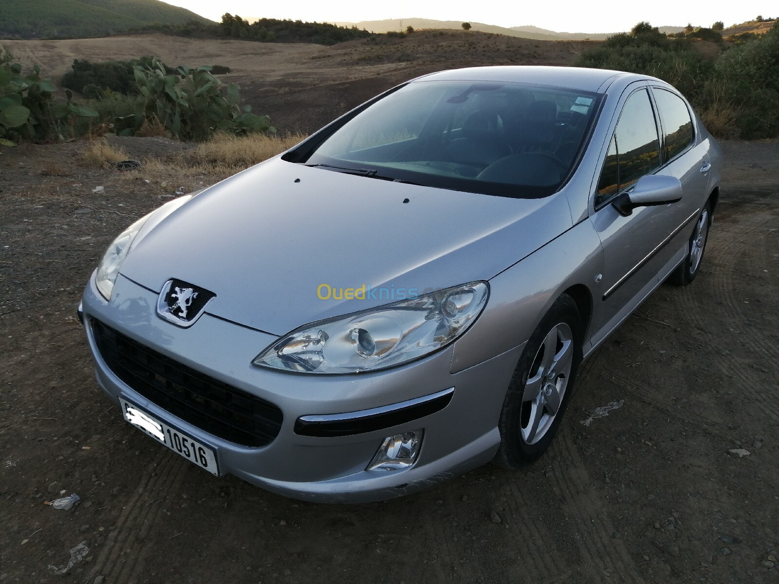 Peugeot 407 2005 407