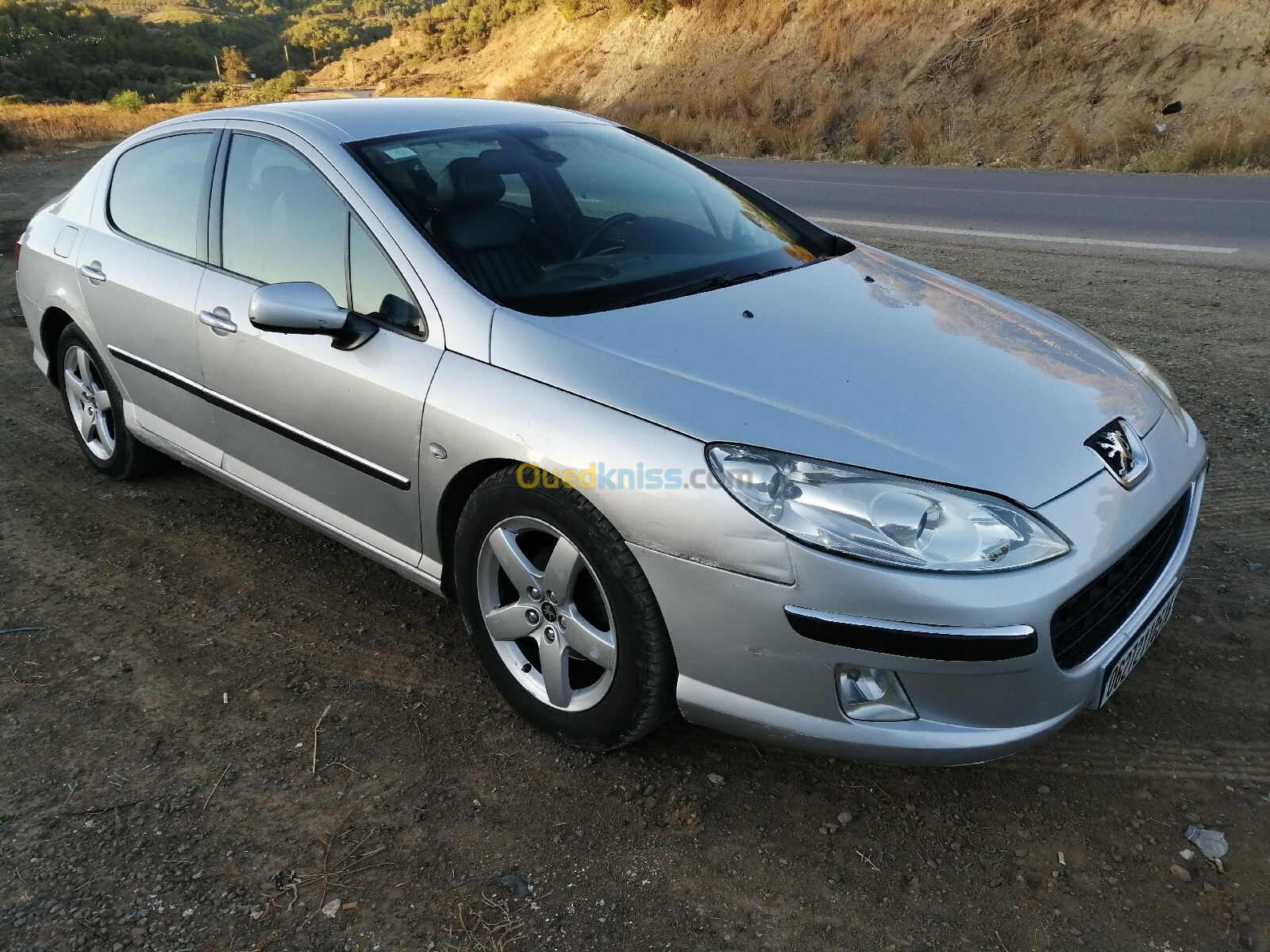 Peugeot 407 2005 407