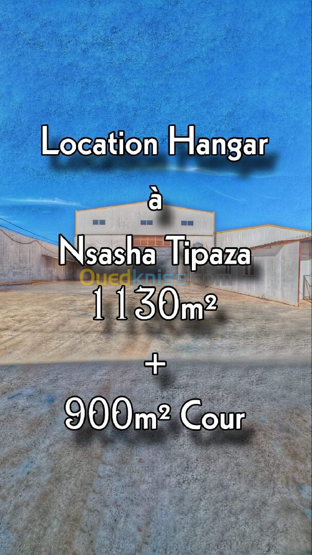 Location Hangar Tipaza Attatba