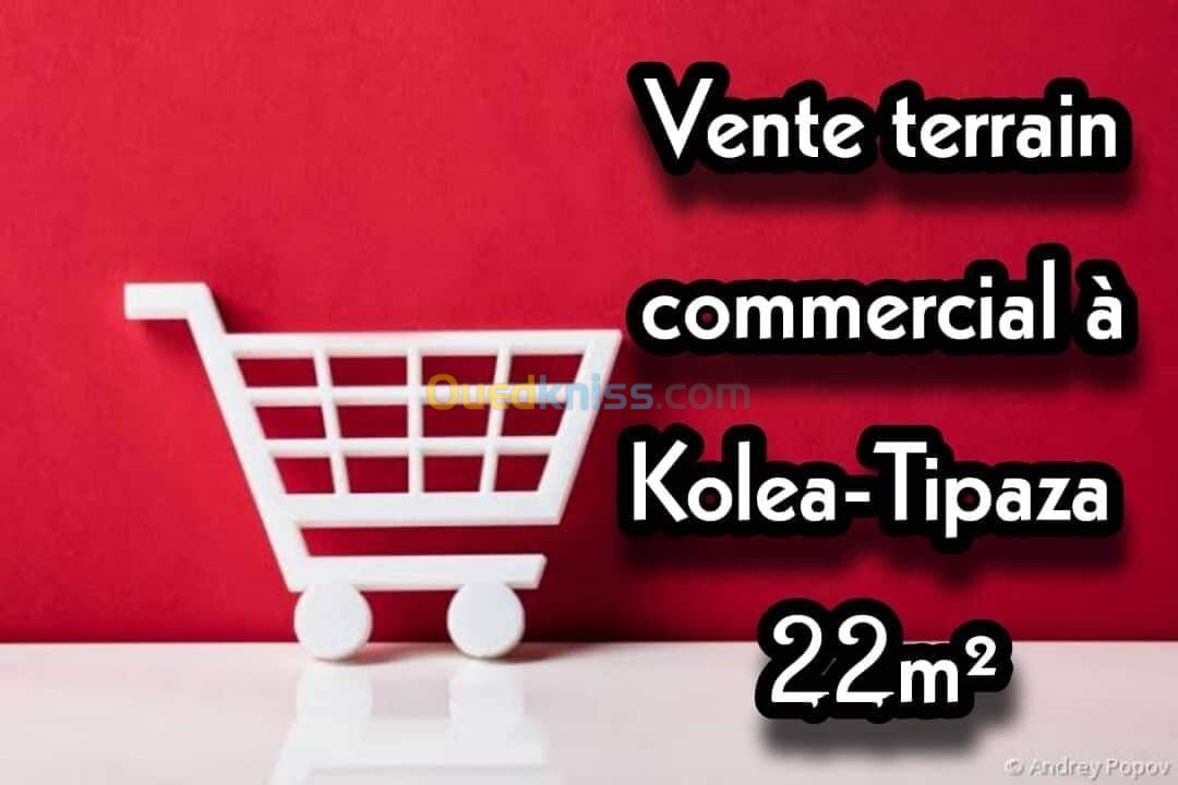 Vente Terrain Tipaza Kolea