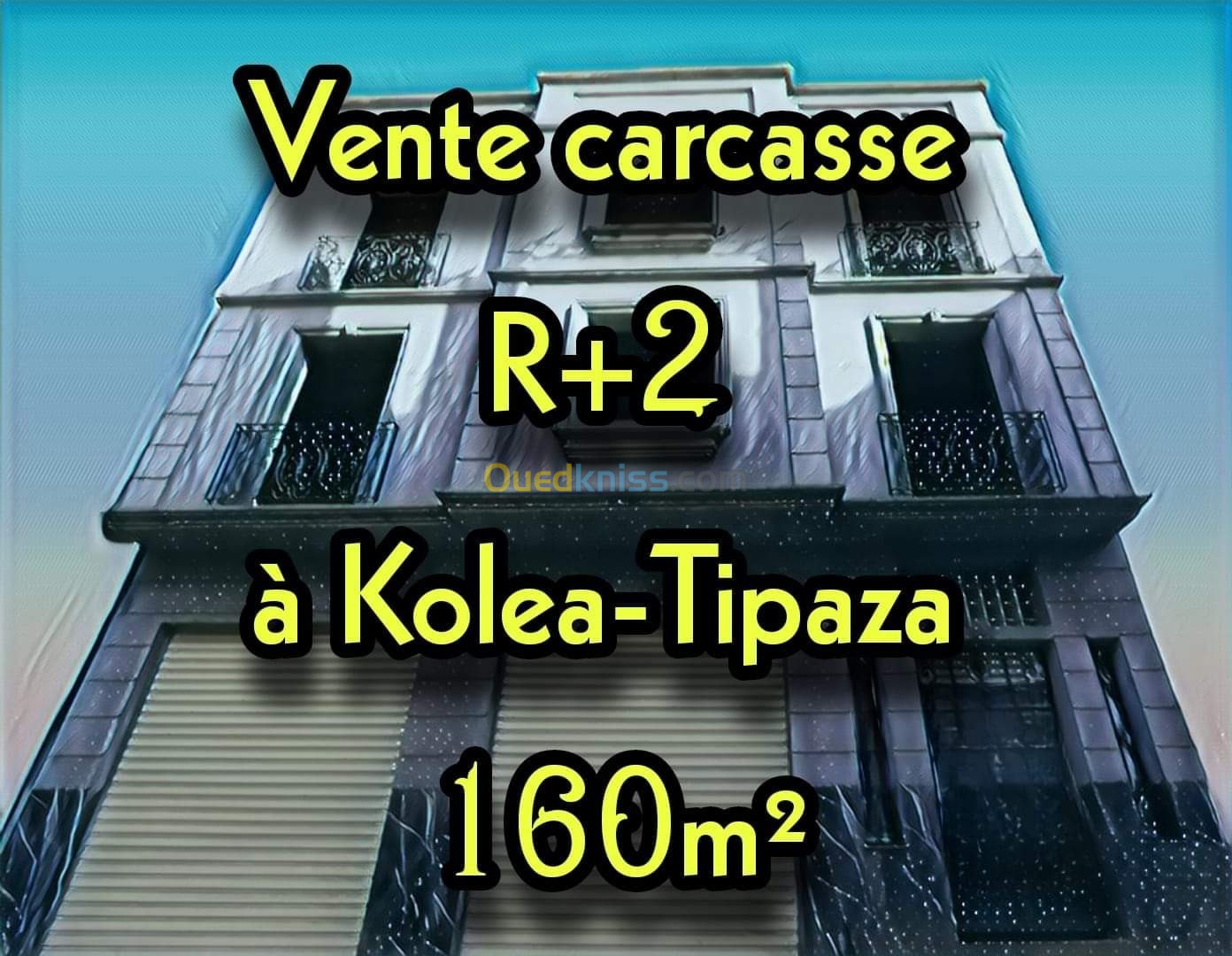 Vente Carcasse Tipaza Kolea