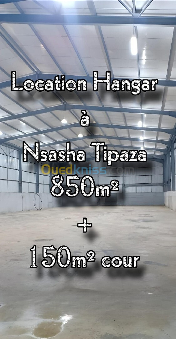 Location Hangar Tipaza Attatba