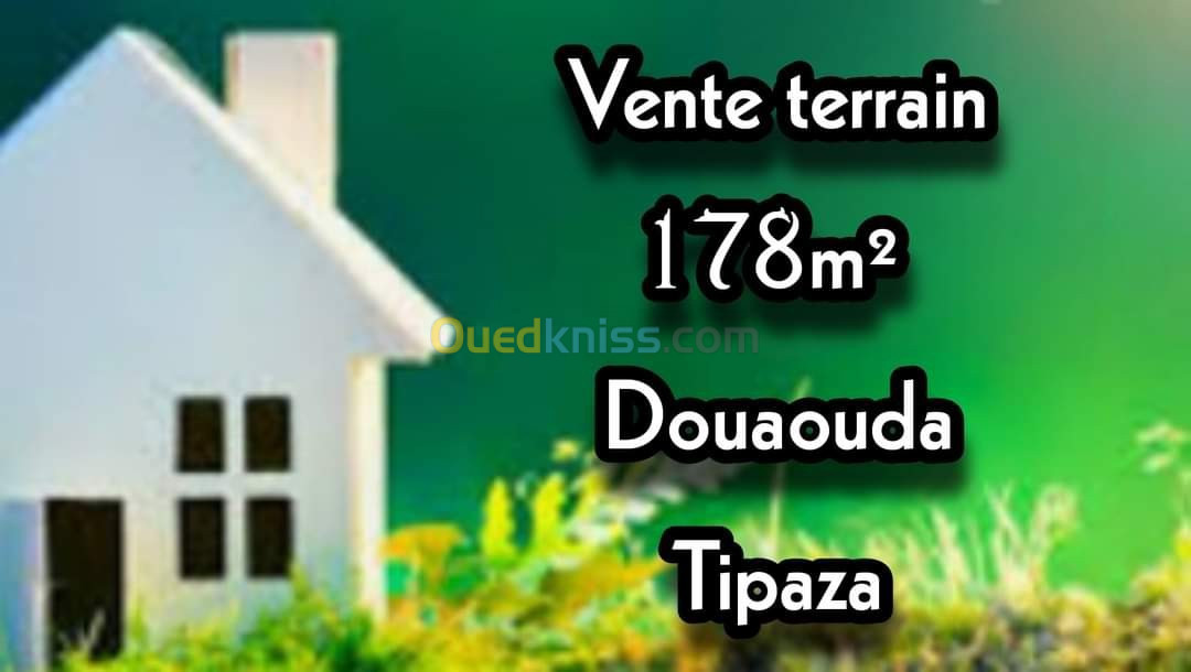 Vente Terrain Tipaza Douaouda