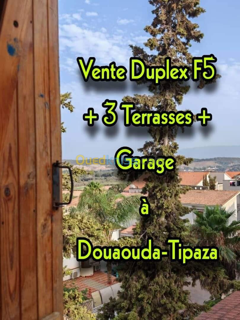 Vente Duplex F5 Tipaza Douaouda