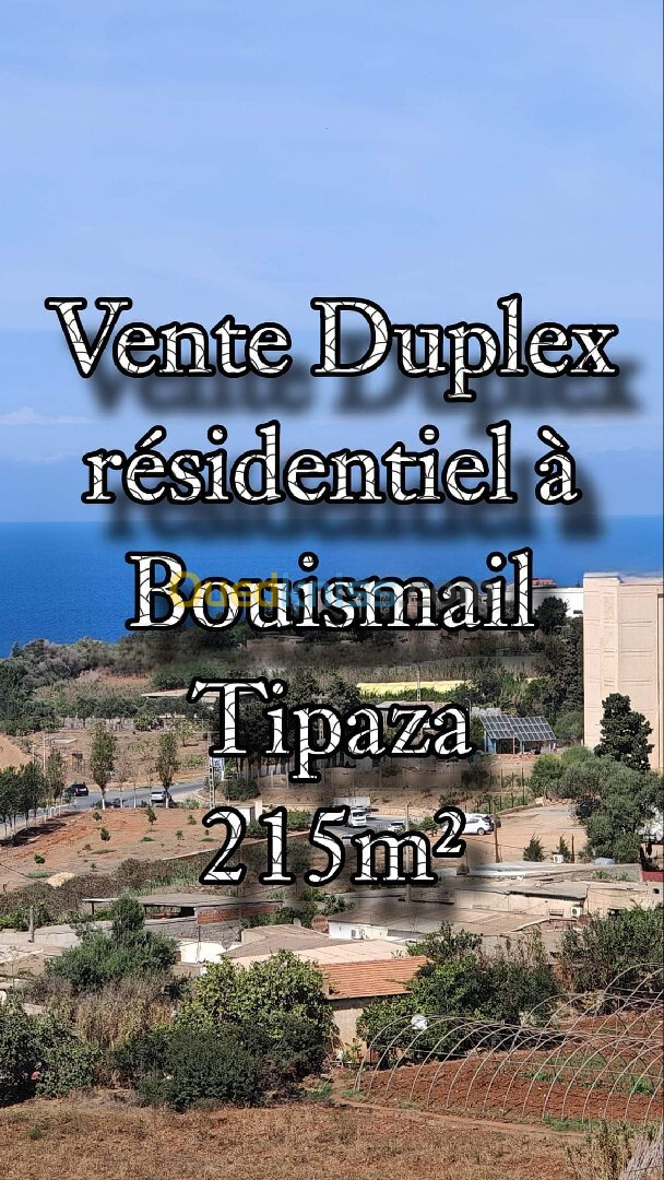 Vente Duplex F7 Tipaza Bou ismail