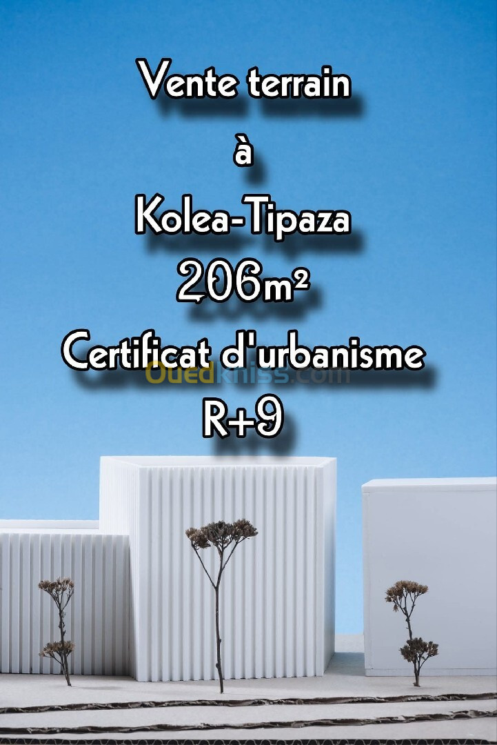 Vente Terrain Tipaza Kolea