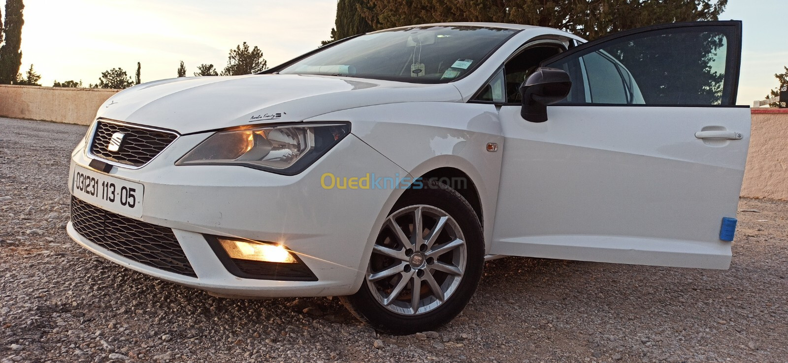 Seat Ibiza 2013 Fully