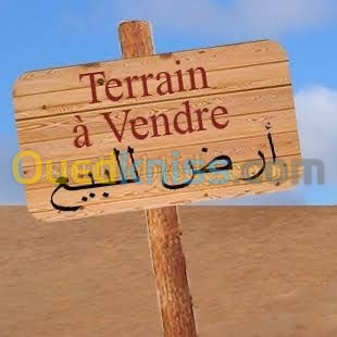 Vente Terrain Sétif Beni ouartilene