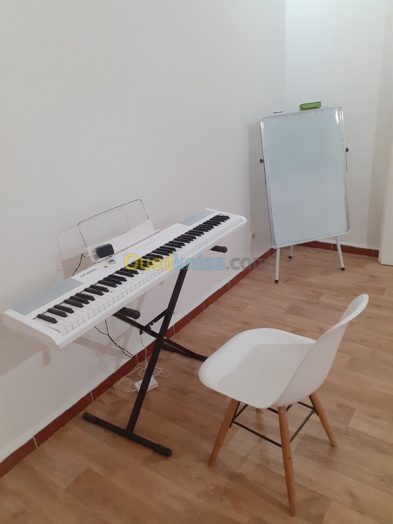 Cours de piano,guitare, violon