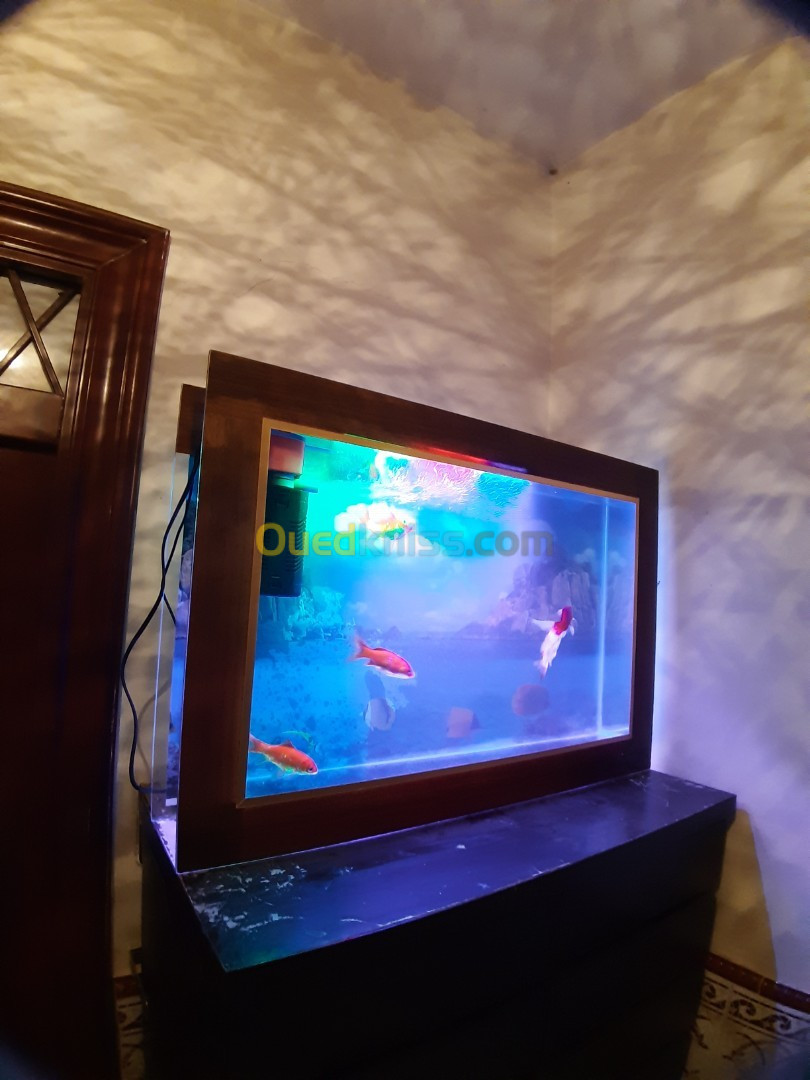 Aquarium plasma 80cm avec Poissons et accessoires complet 