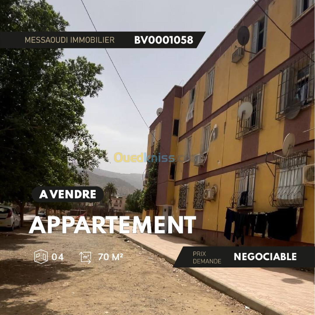 Vente Appartement F04 Aïn Defla Ain defla