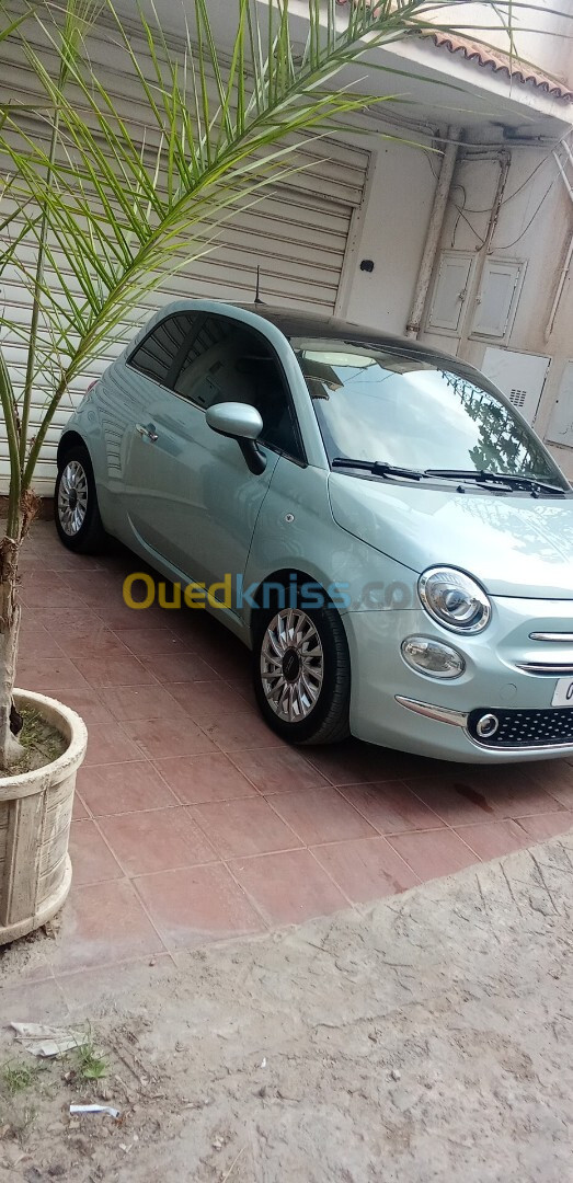 Fiat 500 2024 Club