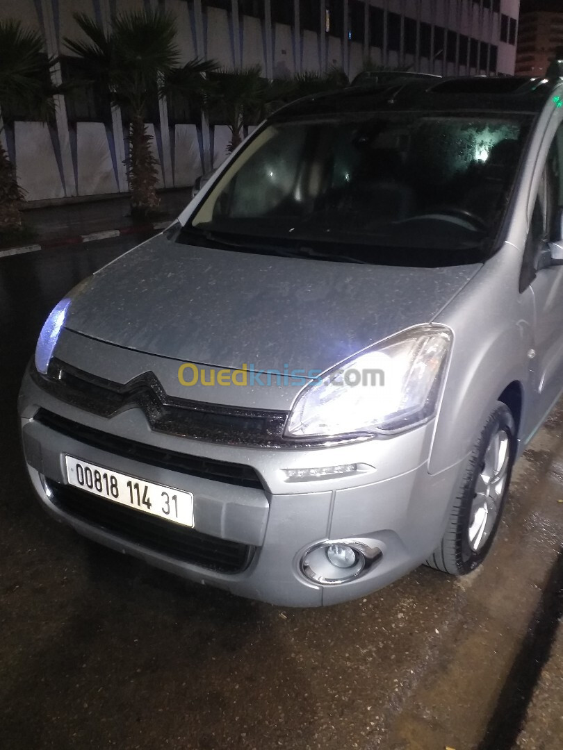 Citroen Berlingo 2014 Berlingo