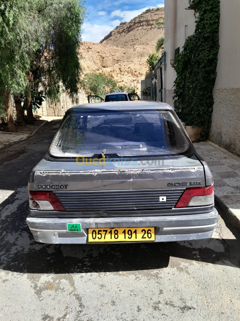 Peugeot 309 1991 309